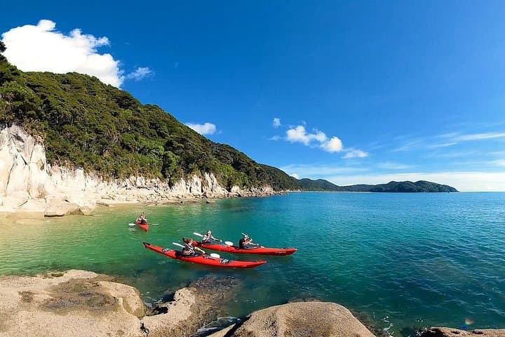 Kayak the Oarsome Marine Reserve: Tonga Island Seals & Abel Tasman Beaches
