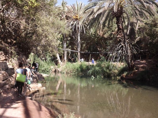 Paradise Valley Half-Day from Agadir: Hike, Swim & Argan Grove Stops photo 6