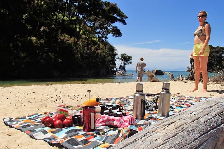 Southern Duo — Adele Island Kayak and Coastal Walk in Abel Tasman photo 2