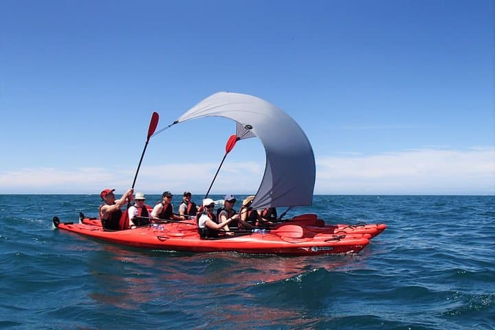Southern Duo — Adele Island Kayak and Coastal Walk in Abel Tasman photo 3