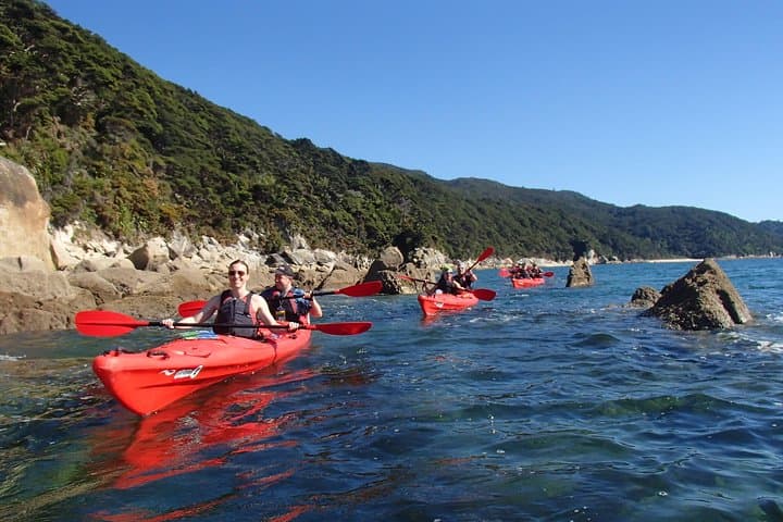 Southern Duo — Adele Island Kayak and Coastal Walk in Abel Tasman photo 4
