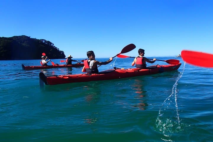Southern Duo — Adele Island Kayak and Coastal Walk in Abel Tasman photo 5