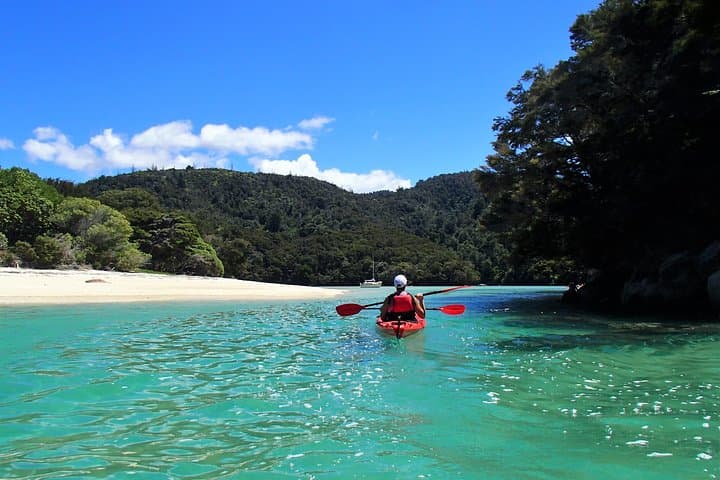 Sea Kayak Marahau: Day Trip Through the Astrolabe Roadstead