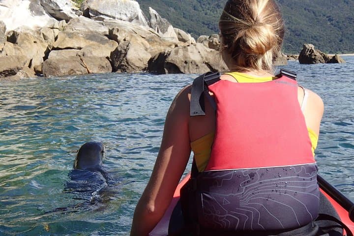 Sea Kayak Marahau: Day Trip Through the Astrolabe Roadstead photo 6