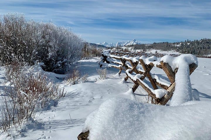 Jackson Hole Dog Sledding Adventure: Buffalo Fork Sled Tour Under the Tetons photo 6