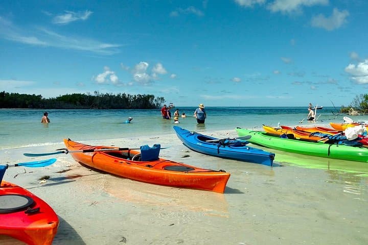 Shell Key Preserve Kayak Tour with Local Guide — Mangrove Tunnels, Shelling & Wildlife