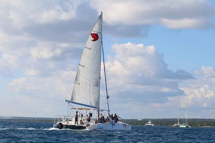 Day Trip to Saona Island: Catamaran, Natural Pool & Lobster Lunch photo 3