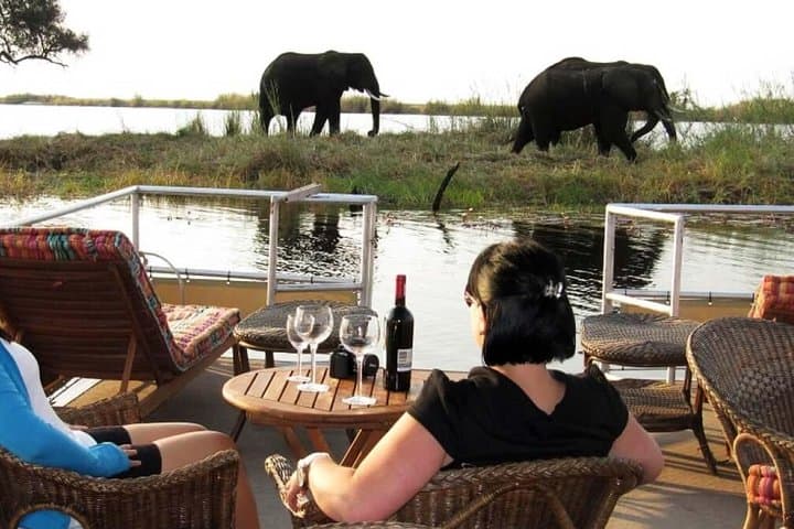 Chobe Full-Day Safari from Kasane — Morning Game Drive & Afternoon River Cruise
