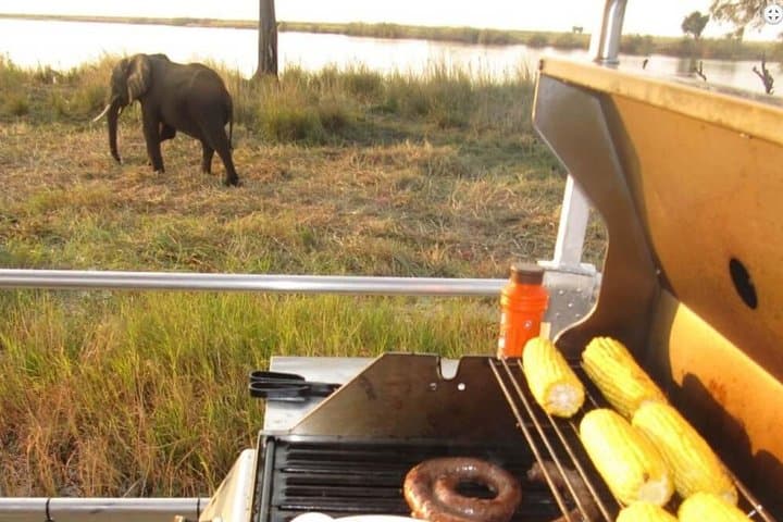 Chobe Full-Day Safari from Kasane — Morning Game Drive & Afternoon River Cruise photo 2