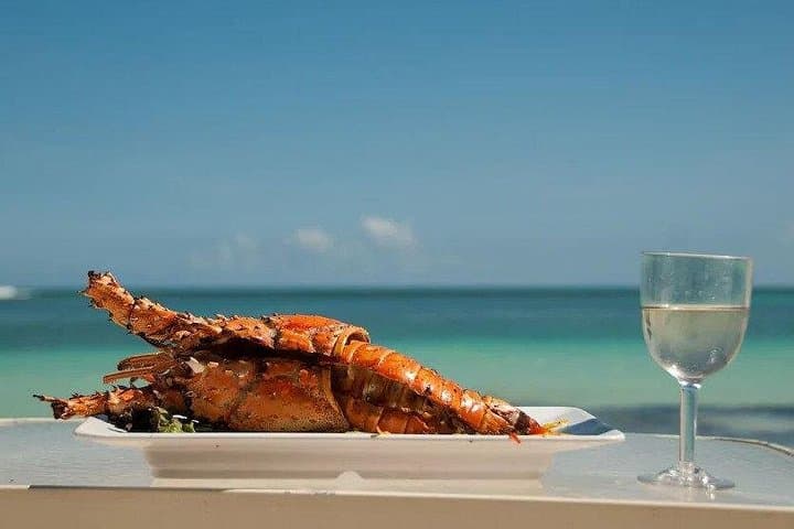 Saona Island Day Trip: Catamaran to the Natural Pool with Lobster & Wine