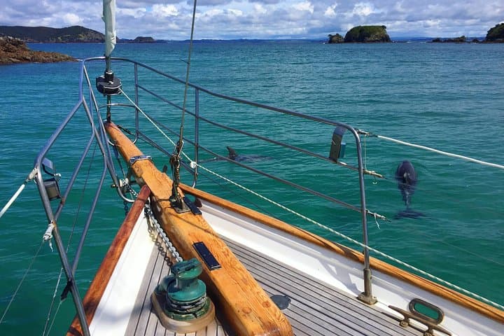 Private Charter Bay of Islands — Sail on Vigilant with Kayaks, Snorkel & Island Lunch