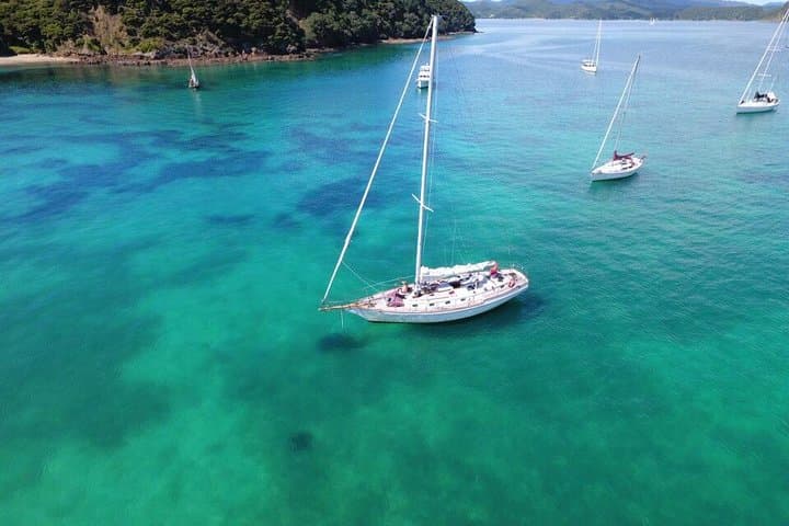 Private Charter Bay of Islands — Sail on Vigilant with Kayaks, Snorkel & Island Lunch photo 2
