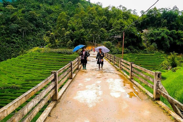 Muong Hoa Valley Trek & Homestay: 4-Day Sapa Rice Terrace Trek photo 4