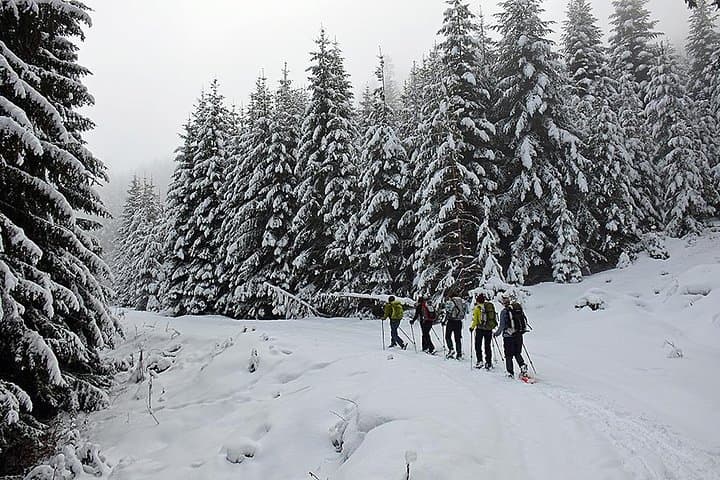 Snowshoe to Cherni Vrah: Full-Day Vitosha Mountain Winter Hike from Sofia