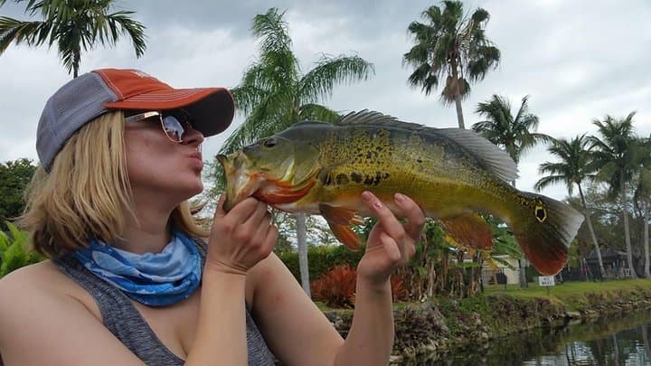 Peacock Bass Fishing in Boynton Beach — Private Guided Boat Trip (4–8 hrs)