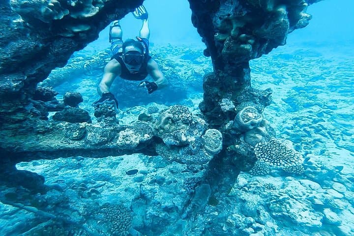 Sea Scooter Safari: Rarotonga Shipwreck & Coral Gardens Snorkel photo 1