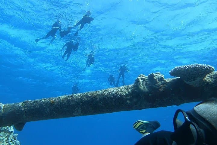 Sea Scooter Safari: Rarotonga Shipwreck & Coral Gardens Snorkel photo 4