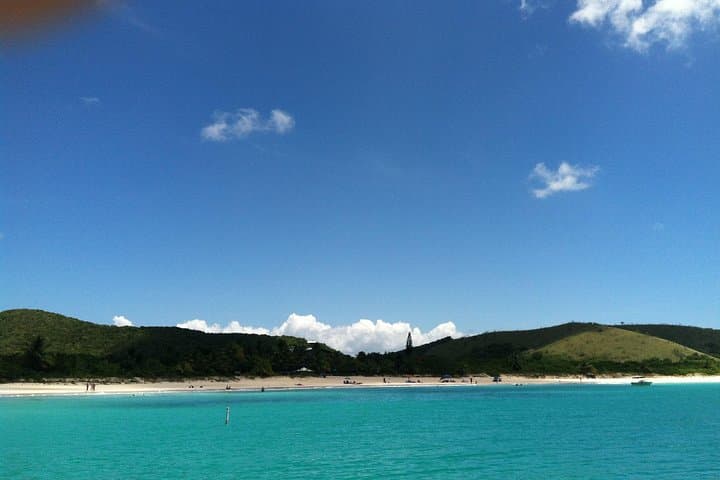 Snorkel the Fajardo Keys: Boat Day to Icacos and Coral Reefs photo 3