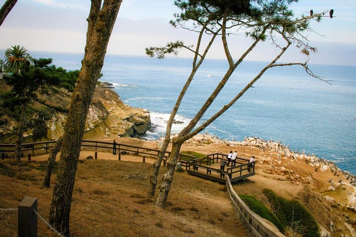Cruise La Jolla: Electric Bike Coastline Tour to Mount Soledad photo 2