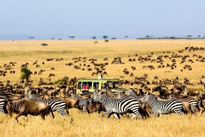 7-Day Kenya Extreme Safari: Amboseli, Lake Naivasha & Maasai Mara Wildlife Adventure photo 5