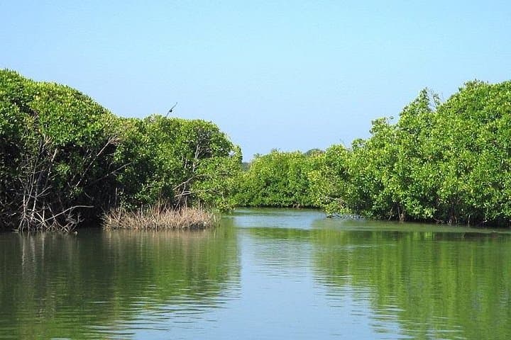 Negombo Beach Hotel to Bandaranaike Airport Private Transfer (CMB) photo 6
