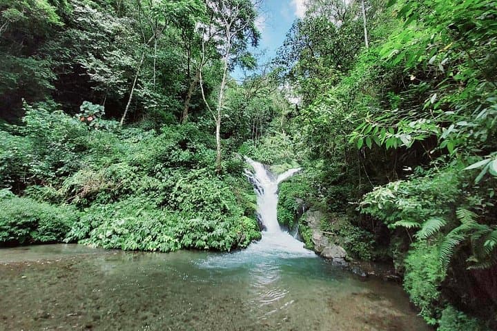Bali Seven Wonder Waterfalls Trekking: Wanagiri’s Hidden Falls Day Hike photo 2
