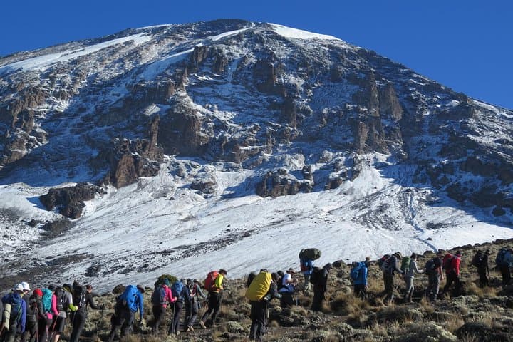 7-Day Marangu Route Mount Kilimanjaro Trek and Uhuru Peak Summit photo 6