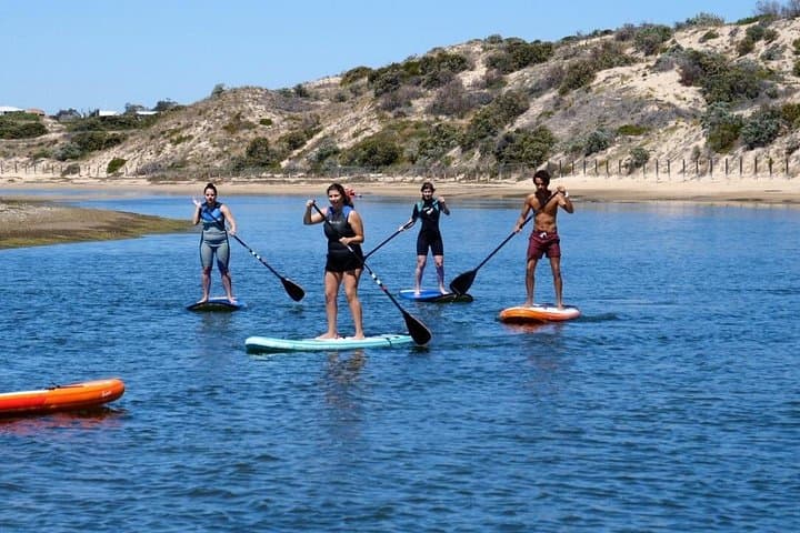 Coast to Vines e-bike paddleboard and McLaren Vale wine tour photo 1