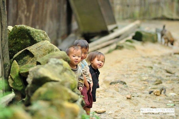 Sapa Trekking by Bus: 2-Day Ta Van Homestay & Rice Terrace Hike photo 2