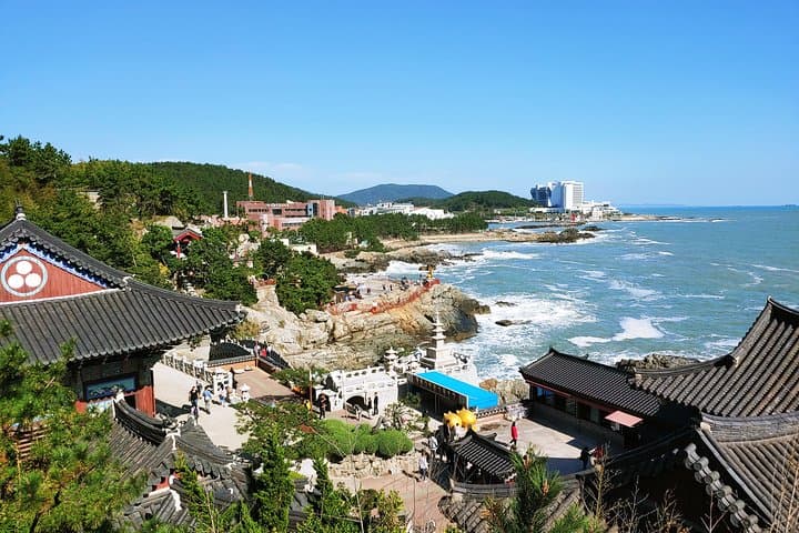 Discover Busan: Unveiling Secrets on a Cruise Layover Tour photo 6