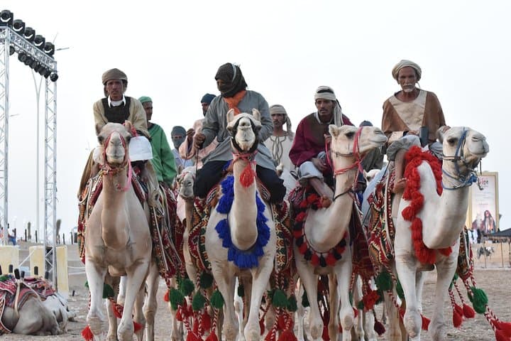 Discover Taif: A Four-Hour Cultural and Mountain City Tour photo 4