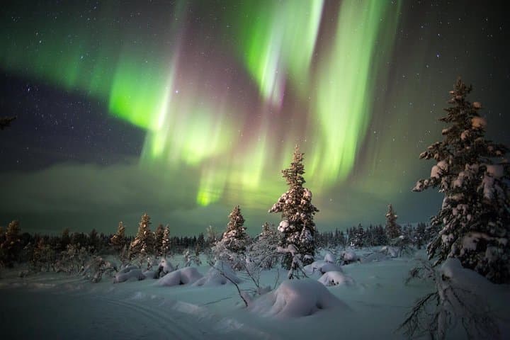 Northern Lights Snowmobile Safari in Rovaniemi: Arctic Aurora Adventure photo 2