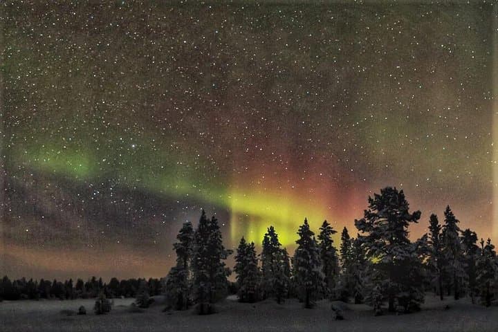 Northern Lights Snowmobile Safari in Rovaniemi: Arctic Aurora Adventure photo 5