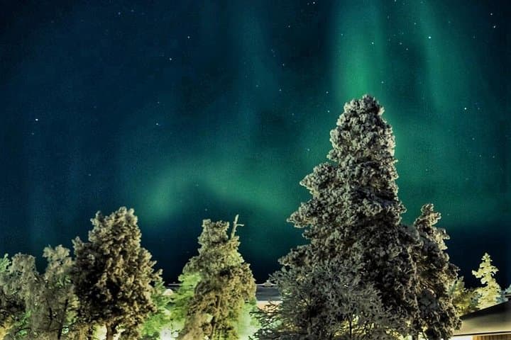 Northern Lights Snowmobile Safari in Rovaniemi: Arctic Aurora Adventure photo 6