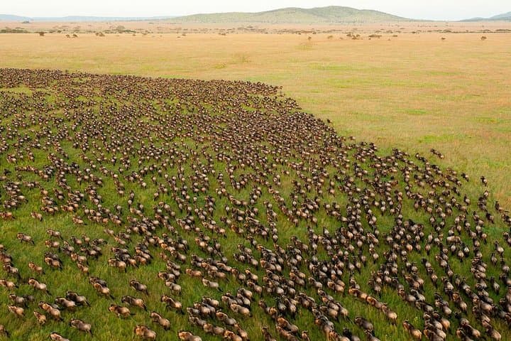 10-Day Great Migration Safari: Masai Mara, Lake Nakuru & Samburu photo 2