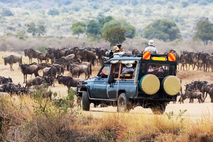 5-Day Kenya Safari — Masai Mara, Lake Nakuru, Baringo & Bogoria