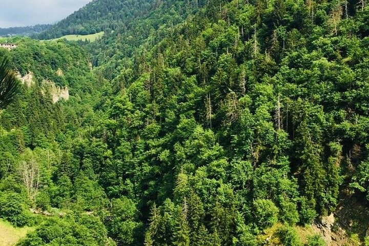 Borjomi Day Tour: Drink the Springs and Walk the Romanov Grounds photo 4
