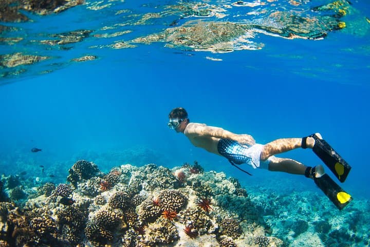 Kings Wharf Catamaran Cruise: Snorkel, Paddle & Refreshments in Bermuda photo 6