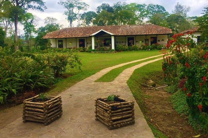 Private Bucaramanga Coffee & Gastronomic Tour: Hacienda Visit and Tastings photo 3