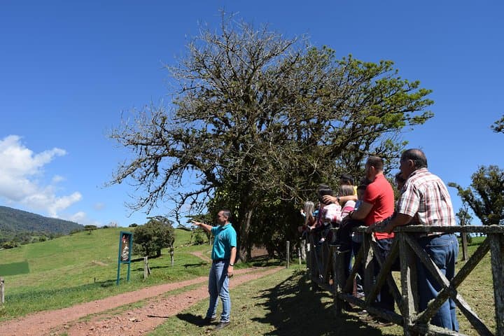 Corso Lecheria Tour: Dairy Farm, Cheese Tasting & Strawberry Fields near Alajuela photo 4