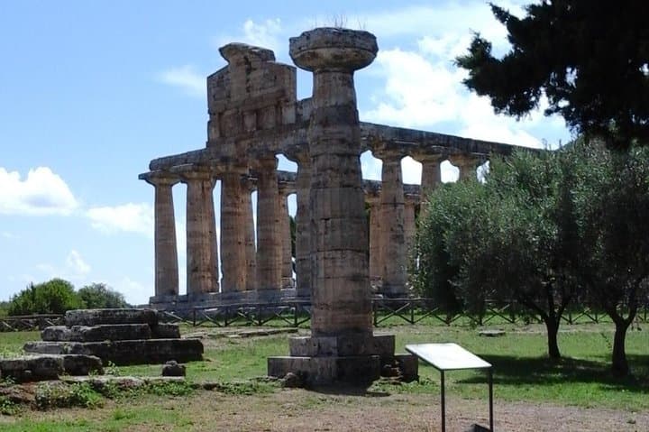 Paestum Temples, Bufala Mozzarella & Cilento Wine Tasting from Castellabate photo 3