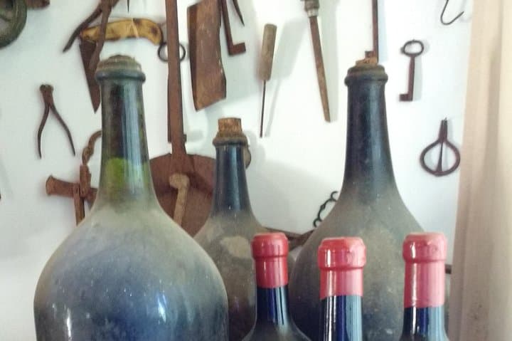 Paestum Temples, Bufala Mozzarella & Cilento Wine Tasting from Castellabate photo 4