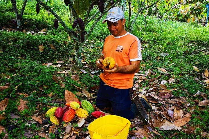 Private Cacao Farm Tour in Santander: Ruitoque Chocolate Experience photo 4