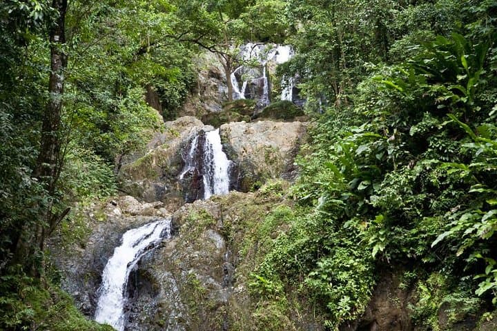 Argyle Waterfall & Adventure Farm: Tobago Waterfall Swim and Hummingbird Viewing