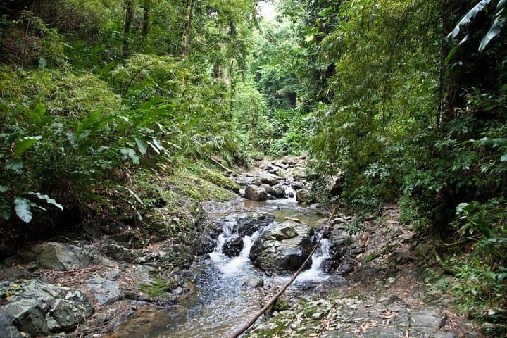 Argyle Waterfall & Adventure Farm: Tobago Waterfall Swim and Hummingbird Viewing photo 4