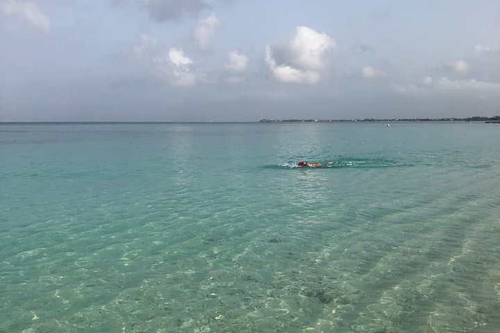 Open-Water Swim Coaching on Seven Mile Beach — Private Lessons in Grand Cayman photo 6