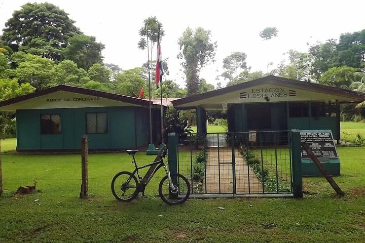 Corcovado Los Planes Birding Tour — Guided Birdwatching from Drake Bay