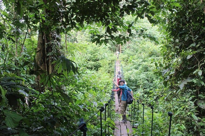 Full-Day Amazon Adventures in Tambopata: Canopy Walk, Zipline & Kayak photo 2