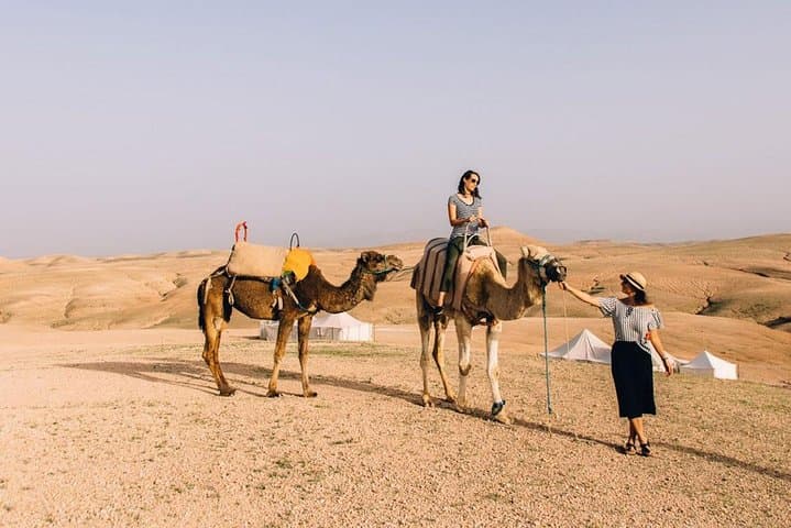 Sunset Camel Ride in Agafay Desert from Marrakech: 1‑Hour Camel Trek & Mint Tea photo 6