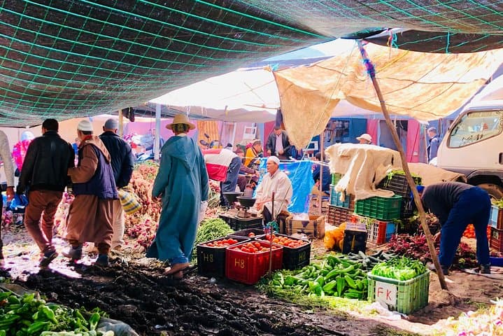 Atlas Mountains Day Trip from Marrakech: Berber Village, Argan Cooperative & Family Lunch photo 2